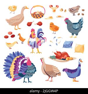 Huhn und pute, Gans und Henne, Nutztiere Stock Vektor