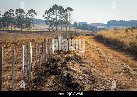 Feldweg in idyllischer Landschaft - Rio Grande do Sul, Südbrasilien Stockfoto