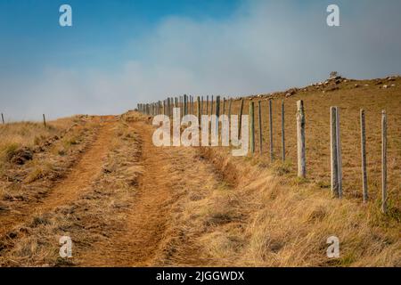 Feldweg in idyllischer Landschaft - Rio Grande do Sul, Südbrasilien Stockfoto