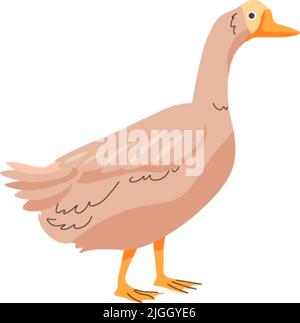 Gans Bauernhof Tier, wachsenden Vogel für die Produktion Stock Vektor