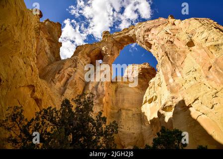 Grand Staircase-Escalante National Monument, Utah, Grosvenor Arch Stockfoto