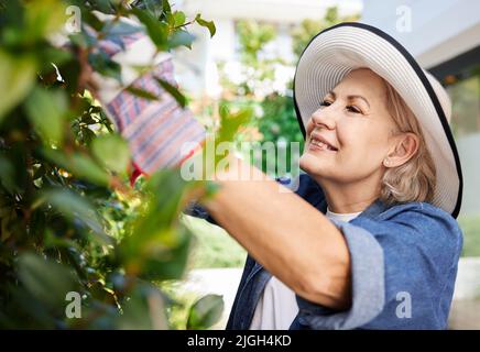 Ich habe grüne Finger. Eine ältere Frau im Garten im Hinterhof zu Hause. Stockfoto