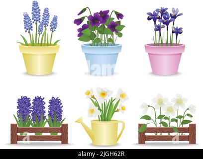 Frühlingsblumen in Töpfen Set aus flachen isolierten Ikonen mit Kunststoff- und Holzbetten mit Blumen-Vektor-Illustration Stock Vektor