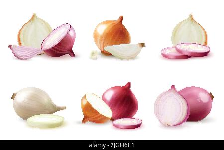 Realistische Komposition mit gesamter und in Scheiben geschnittener frischer roter und gelber Zwiebel isolierter Vektorgrafik Stock Vektor