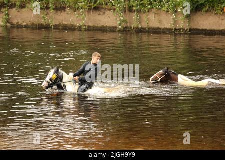 Ein Teenager, der im River Eden reitet und führende Ponys, Appleby Horse Fair, Appleby in Westmorland, Cumbria Stockfoto