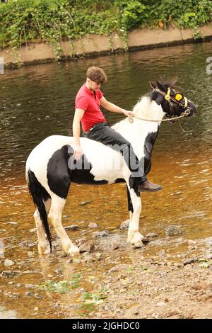 Ein junger erwachsener Mann, der auf einem farbigen Zigeunerpferd reitet, River Eden, Appleby Horse Fair, Appleby in Westmorland, Cumbria Stockfoto