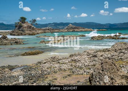 Das felsige Ufer des Kuaotunu Beach auf der Coromandel Peninsula, Nordinsel, Neuseeland Stockfoto