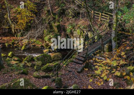 Holzbrücke über Burbage Brook in Padley Gorge, Derbyshire Stockfoto