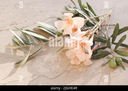 Mediterrane Sommer florale Komposition. Nahaufnahme von Aprikosen-Oleanderblüten, Blumen und grünen Olivenbaumbästen. Grunge Marmor Hintergrund in Stockfoto