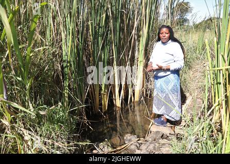 (220711) -- HARARE, 11. Juli 2022 (Xinhua) -- Sally Ngoni, Sprecherin der breiten Allianz gegen Sanktionen, zeigt am 22. Juni 2022 den Pool, in dem Mitglieder der Gruppe Wasser in die Zelte holen, die sie in Harare, Simbabwe, leben. (Xinhua/Zhang Yuliang) Stockfoto