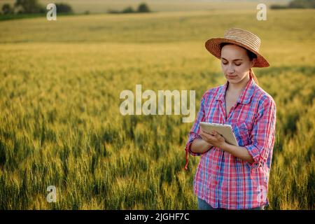Ein junger Fcrmer überprüft ein Getreidefeld und sendet Daten von einer Tablette an die Wolke. Konzept von Smart Farming und digitaler Landwirtschaft. Erfolgreiche Produktion Stockfoto