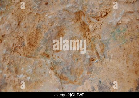 ZHANGJIAKOU, CHINA - 11. JULI 2022 - Fossile Dinosaurier-Fußabdrücke werden im Dorf Lishi, Stadt Guocun, Bezirk Xuanhua, Stadt Zhangjiakou, Hebei Prov Stockfoto