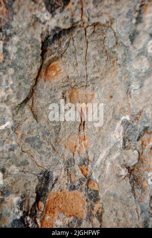 ZHANGJIAKOU, CHINA - 11. JULI 2022 - Fossile Dinosaurier-Fußabdrücke werden im Dorf Lishi, Stadt Guocun, Bezirk Xuanhua, Stadt Zhangjiakou, Hebei Prov Stockfoto