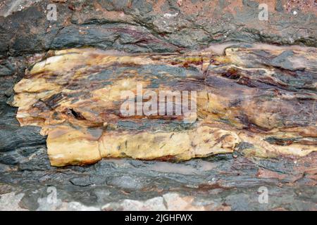 ZHANGJIAKOU, CHINA - 11. JULI 2022 - Baumfossilien werden am Dinosaurier-Fußabdruck-Fossil-Standort im Dorf Lishi, Stadt Guocun, Bezirk Xuanhua, Zhan, gesehen Stockfoto