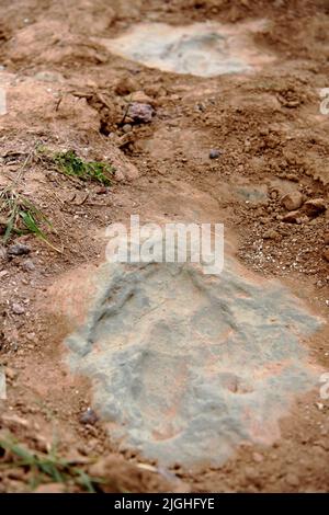ZHANGJIAKOU, CHINA - 11. JULI 2022 - Fossile Dinosaurier-Fußabdrücke werden im Dorf Lishi, Stadt Guocun, Bezirk Xuanhua, Stadt Zhangjiakou, Hebei Prov Stockfoto