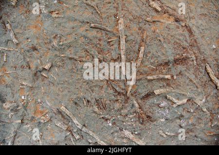 ZHANGJIAKOU, CHINA - 11. JULI 2022 - Luftfoto vom 11. Juli 2022 zeigt den fossilen Standort von Dinosaurierspuren im Dorf Lishi, Guocun, X Stockfoto