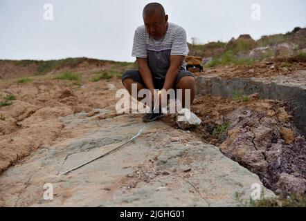 ZHANGJIAKOU, CHINA - 11. JULI 2022 - Mitarbeiter messen Dinosaurier-Fußabdrücke an der Fossilienstelle des Dorfes Lishi, Stadt Guocun, Bezirk Xuanhua, Zha Stockfoto