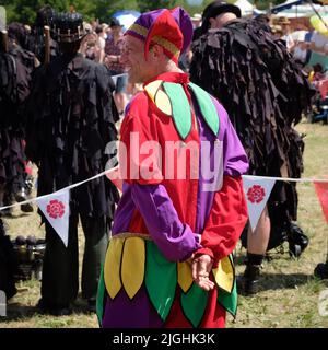 Ein Narr beim Tewkesbury Medieval Festival Stockfoto