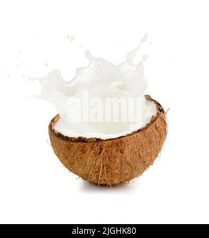 Kokosmilch wird aus einer halben Frucht ausgespült Stockfoto