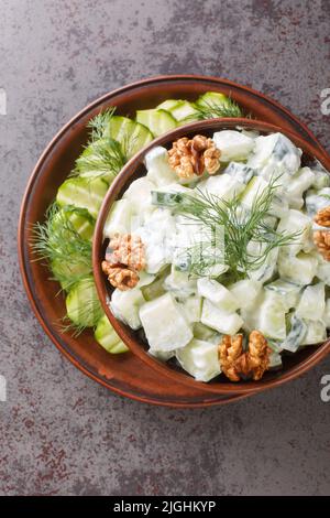 Snezhanka oder Snow White ist ein erfrischender Salat mit Zutaten wie Gurken, Knoblauch, Dill, Öl, Salz, Und der bulgarische Joghurt Nahaufnahme in einem Stockfoto