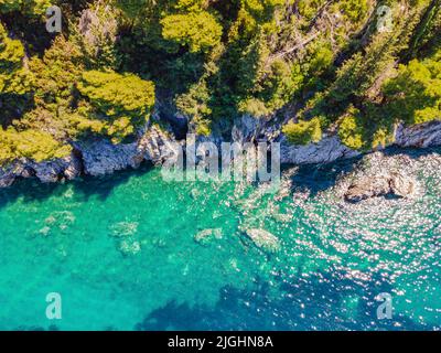 Malerisches Meer Adriaküste von Montenegro. Türkisfarbenes Mittelmeer und felsige Küste mit immergrünen Nadelbäumen. Wunderschöne Sommerlandschaft Stockfoto