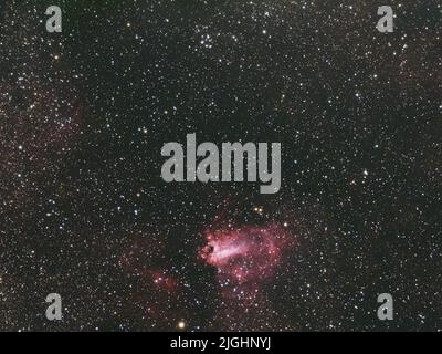 Ein Schwanennebel im Raum Stockfoto