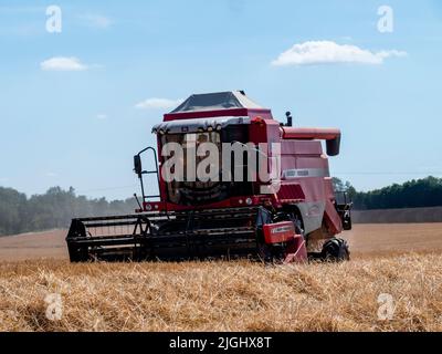 Barley Harvest Great Bardfield Braintree Essex UK Juli 2022. Kombinieren Sie Harvester Ernte Gerste. Gerste wird entweder zur Malzherstellung oder als Tierfutter angebaut. Malz wird als Top-Make-Bier oder Whisky oder in Bäckereien verwendet.Copyright William Edwards Stockfoto