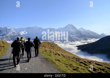 Touristen mit Rucksäcken in den Bergen. Bergwandern in den hohen Bergen. Reisen und Abenteuer. Aktives Leben. Landschaft im Sommer. Stockfoto