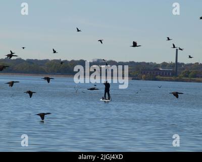 Nordtexaner: Offene Momente Stockfoto