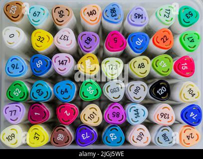 Dicke Filzstifte, farbenfrohes Set. Farbnummernmarkierungen. Eine Schachtel voller farbenfroher Marker. Das Konzept von Bildung und Kreativität. Stockfoto