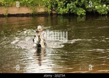 Ein Teenager, der auf seinem Pferd durch den Fluss Eden, Appleby Horse Fair und Appleby in Westmorland, Cumbria, reitet Stockfoto