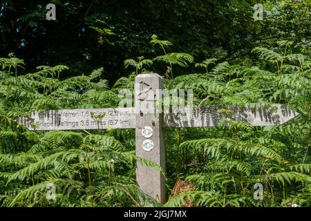 Links und rechts hölzerne Richtungszeiger auf Holzpfosten auf dem East Suffolk Line Walkway auf dem Seemannsweg Stockfoto