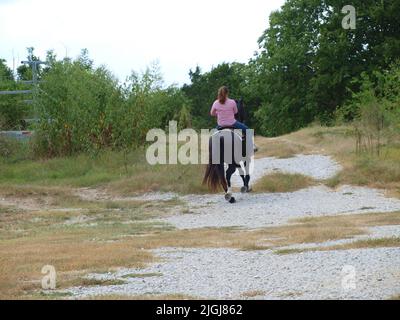 Nordtexaner: Offene Momente Stockfoto