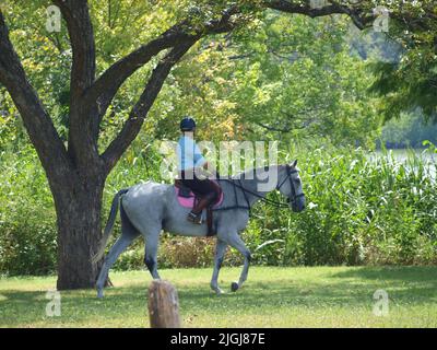 Nordtexaner: Offene Momente Stockfoto