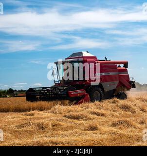 Barley Harvest Great Bardfield Braintree Essex UK Juli 2022. Kombinieren Sie Harvester Ernte Gerste. Gerste wird entweder zur Malzherstellung oder als Tierfutter angebaut. Malz wird als Top-Make-Bier oder Whisky oder in Bäckereien verwendet.Copyright William Edwards Stockfoto