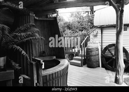 Wagon in the Woods, Medstead, Hampshire, England, Vereinigtes Königreich. Stockfoto