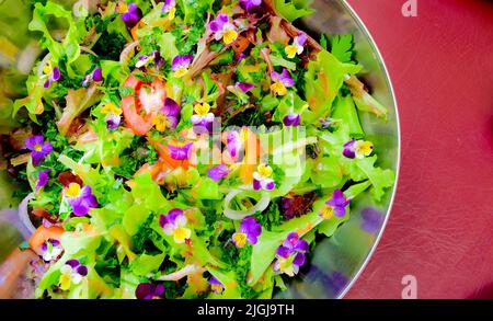 Eine vegane Mahlzeit, frische Produkte aus dem Garten in Tasmanien, Australien Stockfoto