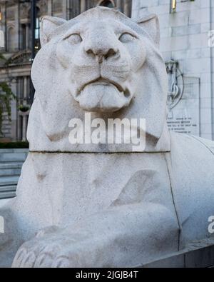 Glasgow, Schottland - Oktober 15. 2021: Eine der Löwenskulpturen des Glasgow Cenotaph - gewidmet jenen, die in beiden Weltkriegen ihr Leben verloren haben Stockfoto