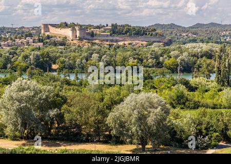 Weite Felder und Wiesen säumen die Rhône unterhalb des Rocher des Doms in Avignon, mit dem Fort Saint-André aus dem 14. Jahrhundert im Hintergrund, Frankreich. Stockfoto