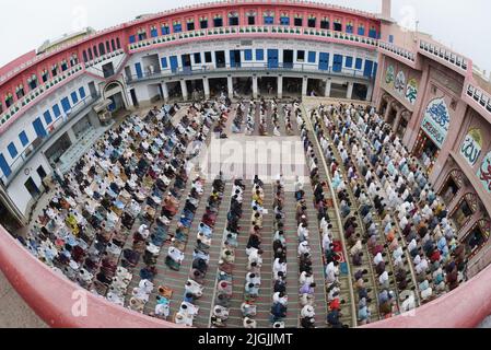 Pakistanische muslimische Anhänger schlachten Kühe nach Eid al-Adha, dem Festival of Sacrifice (Qurbani) Gebet in der Darul Uloom Jamia Naeemia Moschee mit SOPs in Lahore. Die Muslime feiern Eid al-Adha oder Opferfest, den zweiten von zwei islamischen Feiertagen, die weltweit gefeiert werden, um das Ende der jährlichen Pilgerfahrt oder Hadsch in die saudische heilige Stadt Mekka zu markieren und markiert die Bereitschaft des Propheten Ibrahim, Abraham, Christen und Juden, seinen Sohn zu opfern. Während des Urlaubs, der an den meisten Orten vier Tage dauert, schlachten Muslime Schafe, Ziegen, Kühe und Kamele, um des Propheten Abr zu gedenken Stockfoto