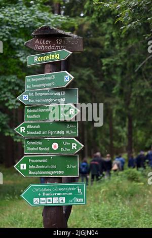 11. Juli 2022, Thüringen, Schmiedefeld am Rennsteig: Gäste der Veranstaltung wandern beim offiziellen Start des groß angelegten Naturschutzprojekts "Bäche, Mauren und Bergwiesen im Thüringer Wald" durch den Wald zur Bergwiese. Das Bundesumweltministerium, das Thüringer Umweltministerium, der Bund und die Naturstiftung David starten das Projekt. Durch menschliches Eingreifen können Ströme und Moor ihre ökologischen Funktionen nur eingeschränkt erfüllen. Mangelnde landwirtschaftliche Nutzung gefährdet die Zukunft wertvoller Bergwiesen. Das hat ne Stockfoto