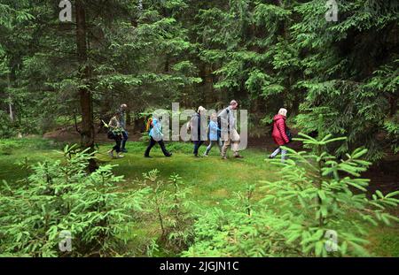 11. Juli 2022, Thüringen, Schmiedefeld am Rennsteig: Gäste der Veranstaltung wandern beim offiziellen Start des groß angelegten Naturschutzprojekts „Bäche, Mauren und Bergwiesen im Thüringer Wald“ durch den Wald zum Moor. Das Bundesumweltministerium, das Thüringer Umweltministerium, der Bund und die Naturstiftung David starten das Projekt. Durch menschliches Eingreifen können Ströme und Moor ihre ökologischen Funktionen nur eingeschränkt erfüllen. Mangelnde landwirtschaftliche Nutzung gefährdet die Zukunft wertvoller Bergwiesen. Das hat negative Nachteile Stockfoto