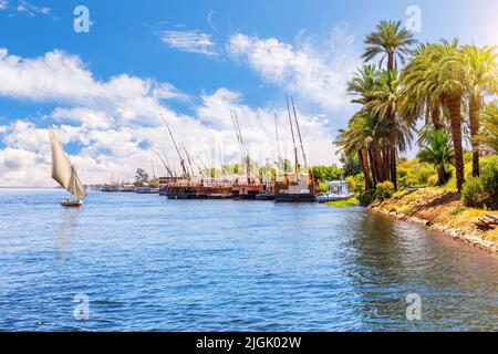 Nilkreuzfahrt, Flussufer in der Nähe von Luxor, Oberägypten Stockfoto