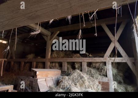 Albrecht Cottage Museum, und über hundert Jahre alte karierte Haus in Swolowo, Polen, genannt die Hauptstadt des karierten-Haus Land © Wojciech S Stockfoto