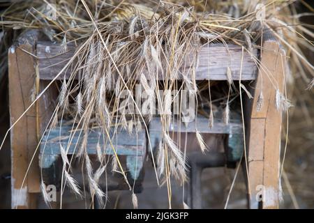 Albrecht Cottage Museum, und über hundert Jahre alte karierte Haus in Swolowo, Polen, genannt die Hauptstadt des karierten-Haus Land © Wojciech S Stockfoto