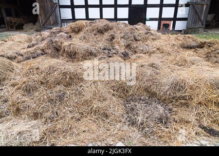Albrecht Cottage Museum, und über hundert Jahre alte karierte Haus in Swolowo, Polen, genannt die Hauptstadt des karierten-Haus Land © Wojciech S Stockfoto