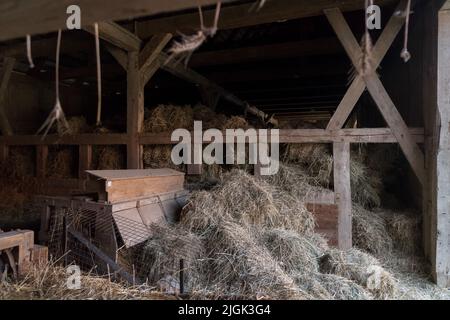 Albrecht Cottage Museum, und über hundert Jahre alte karierte Haus in Swolowo, Polen, genannt die Hauptstadt des karierten-Haus Land © Wojciech S Stockfoto