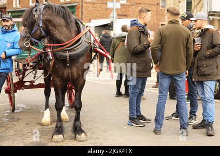 Eine schwarze Zigeunercob zieht einen Wagen, Appleby Horse Fair, Appleby in Westmorland, Cumbria Stockfoto