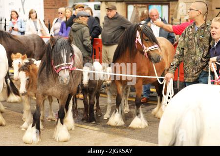 Stuten und Fohlen stehen zusammen, Appleby Horse Fair, Appleby in Westmorland, Cumbria Stockfoto
