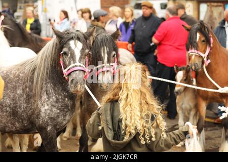 Appleby Horse Fair, Appleby in Westmorland, Cumbria Stockfoto